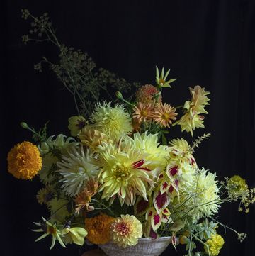 frances palmer flower arrangement